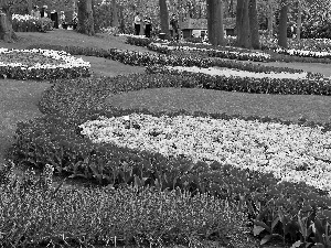 Floral, walkers, Park, carpeting, Spring