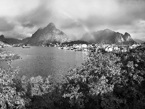 flourishing, Bush, lake, Great Rainbows, Mountains