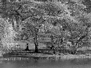 flourishing, Spring, viewes, Pond - car, trees, Park