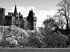 Park, Cardiff, trees, wales, Castle, flourishing, viewes