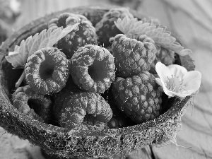 flower, raspberries, bowl