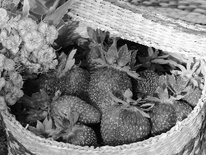 Flowers, strawberries, basket