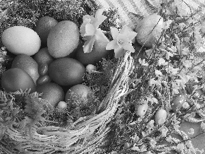 basket, Yellow, Flowers, eggs