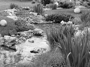 Flowers, Flower-beds, brook, Stones, Garden