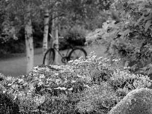 Bush, trees, flowers, Bike, Pink, viewes