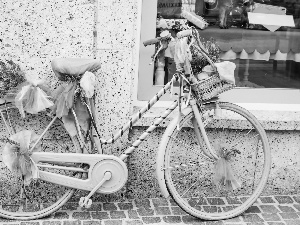 Flowers, Violet, Bike