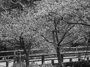 Flowers, bridges, viewes, Pink, trees