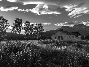 medows, Mountains, Flowers, buildings, grass, woods