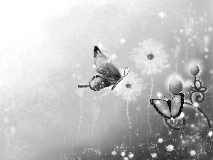 2D Graphics, butterflies, Flowers