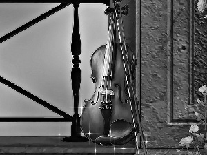 Flowers, copy, violin, ledge, instrument