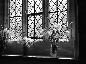 flowers, Daffodils, Window, Bouquets, interior