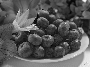 Flowers, blueberries, dish