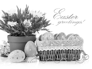Flowers, Easter, eggs