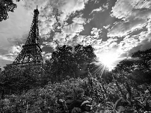 Paris, Eiffla Tower, Flowers