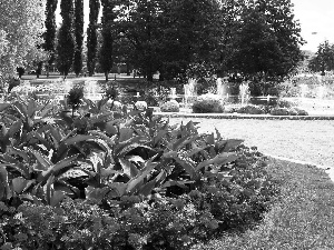 Flowers, fountain, flowerbed, Red, Park