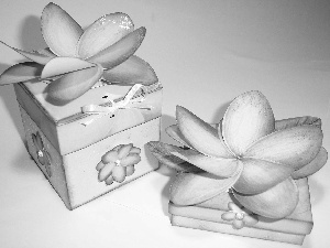 Flowers, frangipani, gifts, Artificial, Boxes