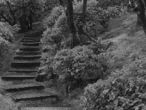 Garden, Pink, Flowers, Stairs