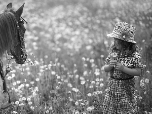 girl, Meadow, Flowers, Horse