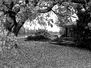 house, trees, Flowers, Garden