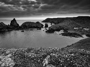 Flowers, sea, Islets