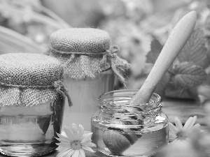 Flowers, honey, Jars