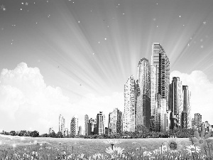 Flowers, skyscrapers, Meadow