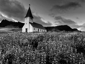 Mountains, Church, Flowers, Meadow