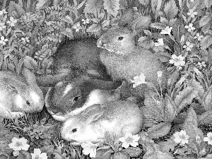 Rabbits, Flowers