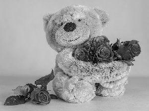 Plush, Flowers, roses, teddy bear