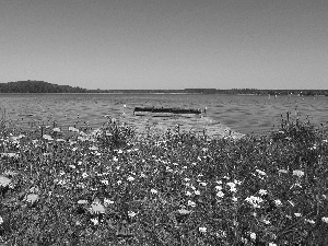 Spring, Platform, Flowers, lake