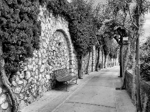 Flowers, wall, Stones