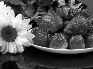 strawberries, Flowers