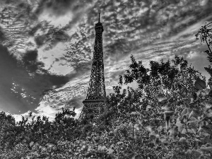 tower, clouds, Flowers, Eiffla