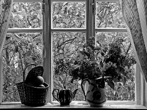 Flowers, without, trees, viewes, Window