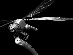 Clockwork, dragon-fly