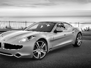 Fisker, fodder