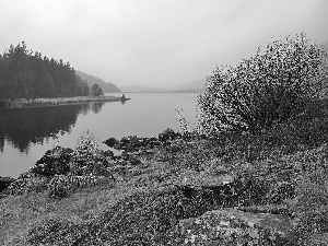 woods, lake, Fog, autumn, Mountains, Stones