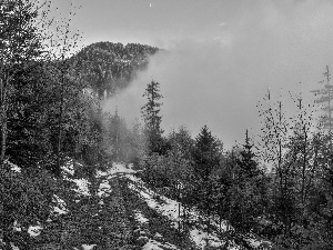 Fog, autumn, woods, Way, Mountains