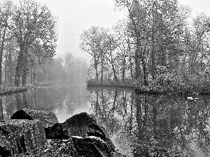 Stones, River, Fog, autumn, Park, ducks