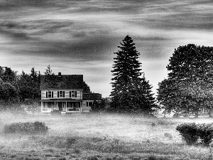 trees, west, Fog, house, viewes, sun