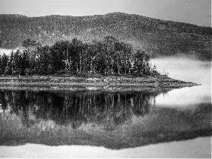 lake, Island, Fog, forest