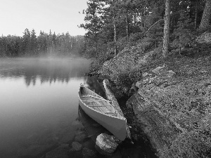 lake, Kayak, Fog, forest