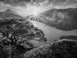 Sunrise, Mountains, pine, Fog, rocks, lake