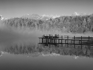 lake, woods, Fog, pier