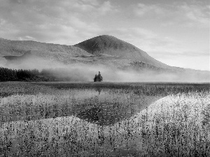 Fog, Mountains, marshland