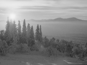 Snowy, winter, Sunrise, Fog, Spruces, Mountains