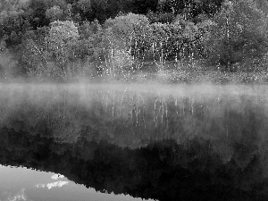 Fog, reflection, forest, River, autumn