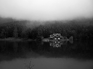 Fog, reflection, forest, house, lake