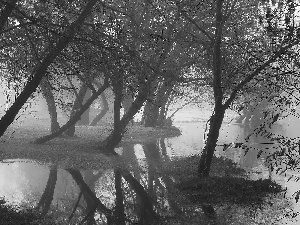River, viewes, Fog, trees