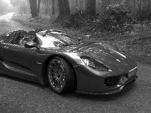 Porsche Spyder, forest, Fog, Way